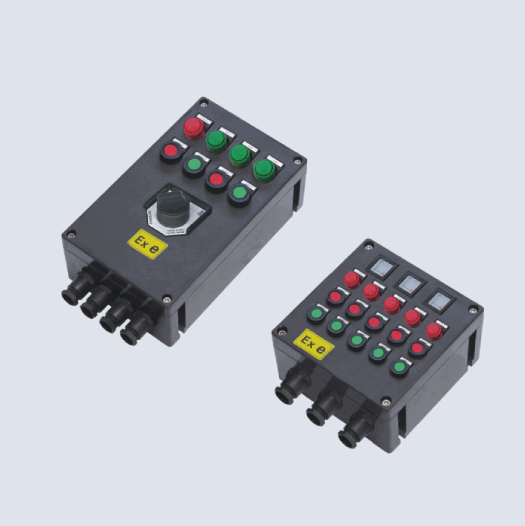 BXK8050-系列防爆防腐控制箱(IIC、 ExtD)